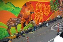 Contrato de murales del Túnel Mundialista se hizo con total transparencia