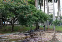 Empieza a tomar forma el Alumbrado Navideño 