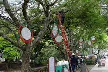 Empieza a tomar forma el Alumbrado Navideño 