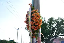 Cali se cubre de flores para conmemorar el ‘Día Mundial en Memoria de las Víctimas de Siniestros Viales’