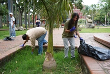 Unidad de Bienes y Servicios se puso la camiseta para embellecer el Parque Central Río Cali