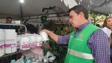 Dagma decomisó 6 unidades de orquídeas extraídas del bosque en ‘Cali Orquídeas’