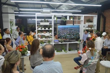 Camacol y Gremios del Valle del Cauca destacan avances en la renovación urbana del centro