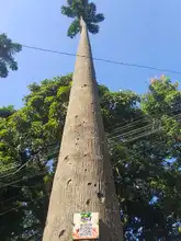 Bosque Urbano de Santa Librada lidera acciones en guianza turística natural y cultural