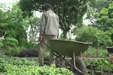 300 plantas ornamentales fueron entregadas a seis iniciativas comunitarias para fortalecer su cultura ambiental