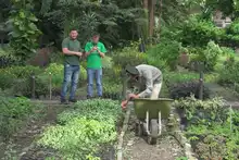 300 plantas ornamentales fueron entregadas a seis iniciativas comunitarias para fortalecer su cultura ambiental