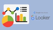 Logo Looker2