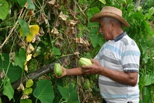 Corazón Contento expuso importantes avances en la rendición de cuentas