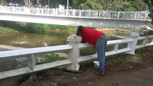 Embellecen murales alrededor del Bulevar del Río para eventos de ciudad