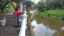 Embellecen murales alrededor del Bulevar del Río para eventos de ciudad
