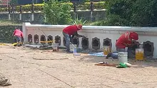 Embellecen murales alrededor del Bulevar del Río para eventos de ciudad