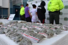 Desarticuladas dos bandas criminales que afectaban a jóvenes del norte de Cali
