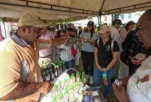  Una vuelta por los 26.1 kilómetros de oportunidades del jarillón