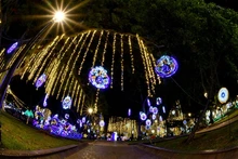 Recorrido del Alumbrado Navideño en el Bulevar del Río iniciará por el Paseo Bolívar 