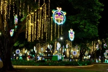 Recorrido del Alumbrado Navideño en el Bulevar del Río iniciará por el Paseo Bolívar 