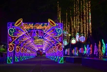 Alcalde se caminó ‘la alborada’ de luces multicolores para dar la bienvenida al tiempo más alegre del año
