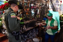 Operativos de control al tráfico de flora y fauna 