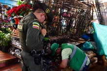 Operativos de control al tráfico de flora y fauna 