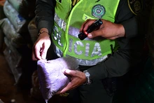 Operativos de control al tráfico de flora y fauna 