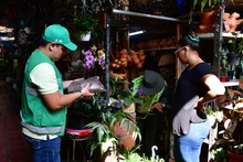 Operativos de control al tráfico de flora y fauna 