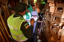 Operativos de control al tráfico de flora y fauna 