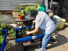 Gestoras y gestores le apuestan a la autosostenibilidad de sus comedores