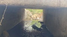 Montebello y Felidia, territorios impactados con obras por urgencia manifiesta