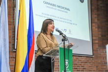 Se instaló la primera sesión del ‘Observatorio Distrital de Cannabis Medicinal’