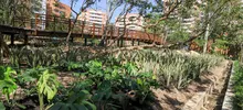  Cali estrena un sendero de innovación, vida y oportunidades