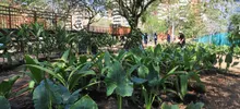  Cali estrena un sendero de innovación, vida y oportunidades
