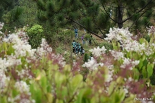  Cali estrena un sendero de innovación, vida y oportunidades