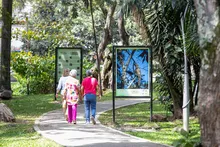 El murmullo del bosque se escucha en el corredor del río Cali