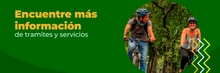 Servicios