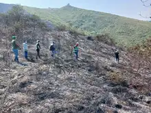 Dagma evalúa impacto ambiental del incendio forestal en Pilas del Cabuyal