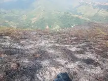 Dagma evalúa impacto ambiental del incendio forestal en Pilas del Cabuyal
