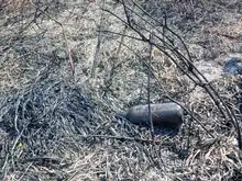 Dagma evalúa impacto ambiental del incendio forestal en Pilas del Cabuyal