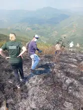 Dagma evalúa impacto ambiental del incendio forestal en Pilas del Cabuyal