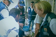 Ante posible aumento de casos de dengue en Cali, Salud Pública hace llamado a tomar medidas contundentes para frenar brote
