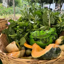 De la tierra a la mesa: los mercados campesinos son un canal de comercialización comunitario en Cali