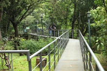 Santiago de Cali conmemora el mes de los humedales