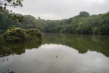 Santiago de Cali conmemora el mes de los humedales