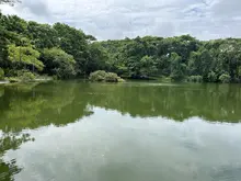 En el ecoparque Lago de las Garzas inició la conmemoración del ‘mes de los humedales’