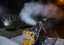 Eliminación de criaderos, fumigación y siembra de peces guppies, entre las acciones para hacer frente al brote de dengue