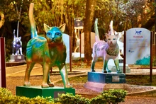 ¡Cali, bella e iluminada! Alcaldía trabaja para embellecer los hitos ornamentales de la ciudad