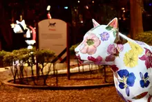 ¡Cali, bella e iluminada! Alcaldía trabaja para embellecer los hitos ornamentales de la ciudad