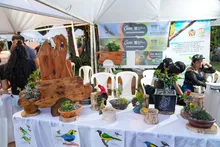 La Colombia BirdFair tomó vuelo tras la inauguración de su décima versión