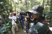 Cali referente en avistamiento de aves de Suramérica