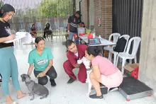 Unidad Administrativa Especial de Protección Animal realizó jornada de  esterilización en la Comuna 20 de Cali