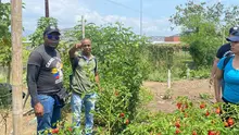 Civismo, cultura ciudadana y educación ambiental, la fórmula para recuperar ríos y huertas en tres sectores de Cali
