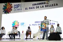 Cali camina hacia la COP16 para visibilizar la biodiversidad del Chocó biogeográfico al mundo